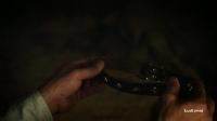 Click to watch 'Danger: Mountain Lions' (popup) Eagleheart